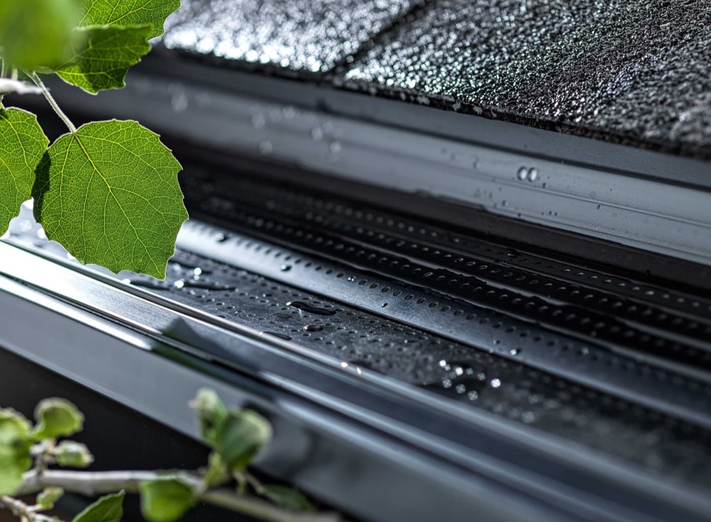 Wet black Alu-Rex Gutter Clean Pro guard on a roofline with backlit green leaves